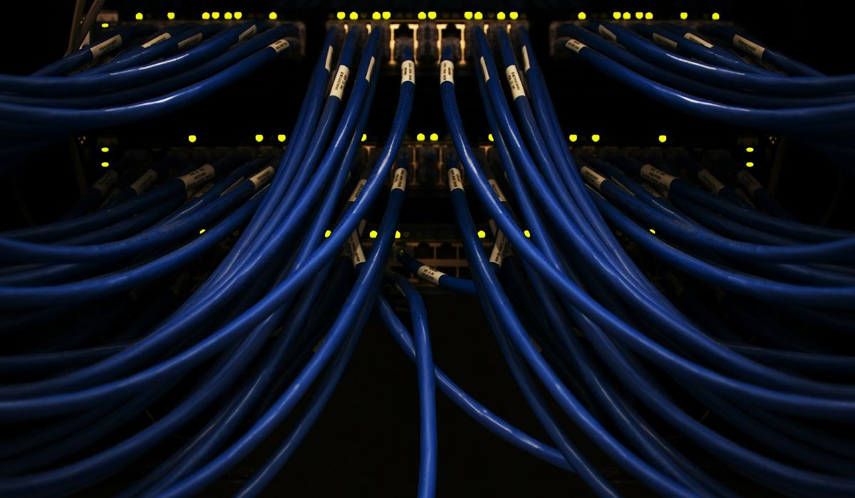 Cabos de rede azuis conectados a um switch com luzes acesas