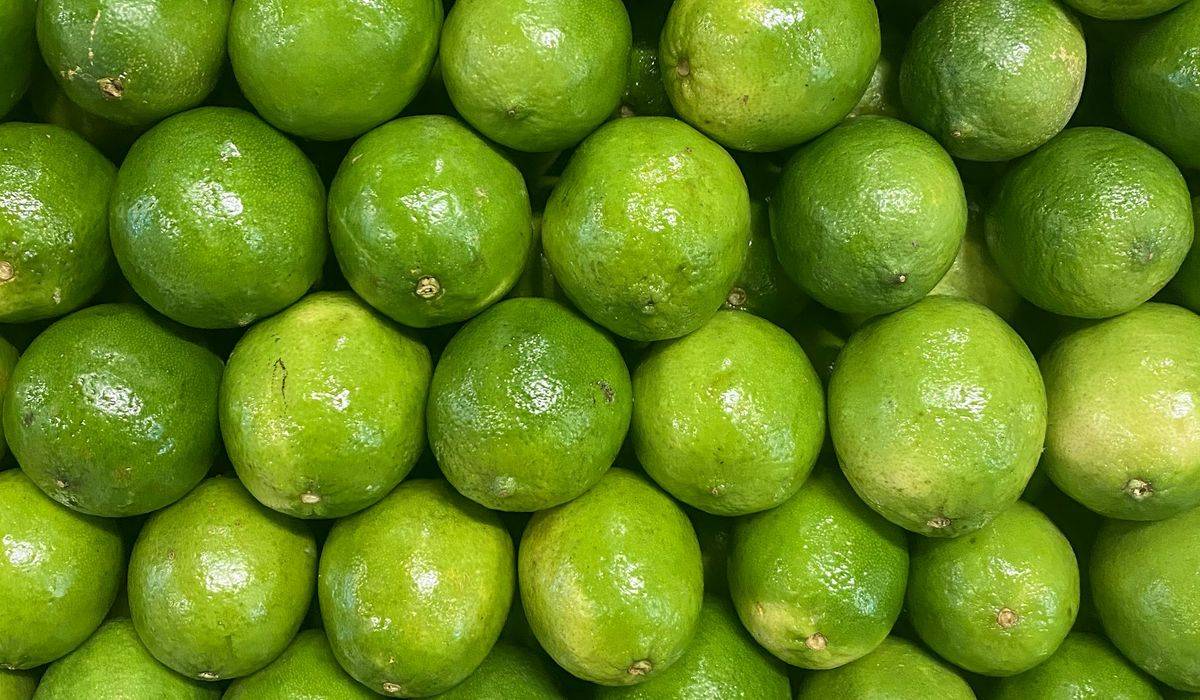 Limões tahiti verdes empilhados lado a lado