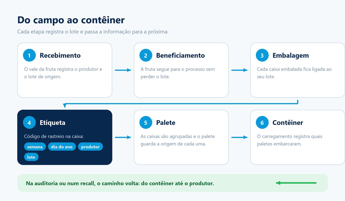 Diagrama com as seis etapas da rastreabilidade: recebimento, beneficiamento, embalagem, etiqueta, palete e contêiner